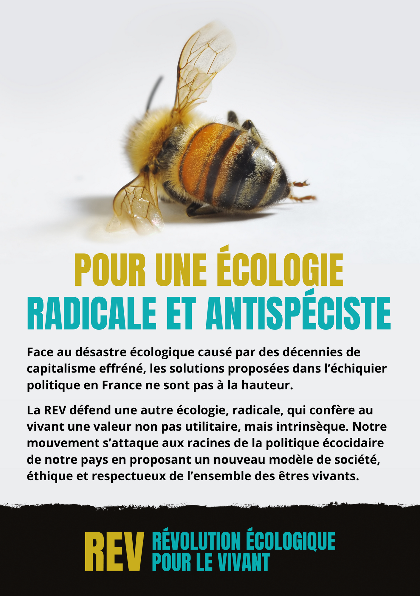 Tract REV Écologie radicale recto