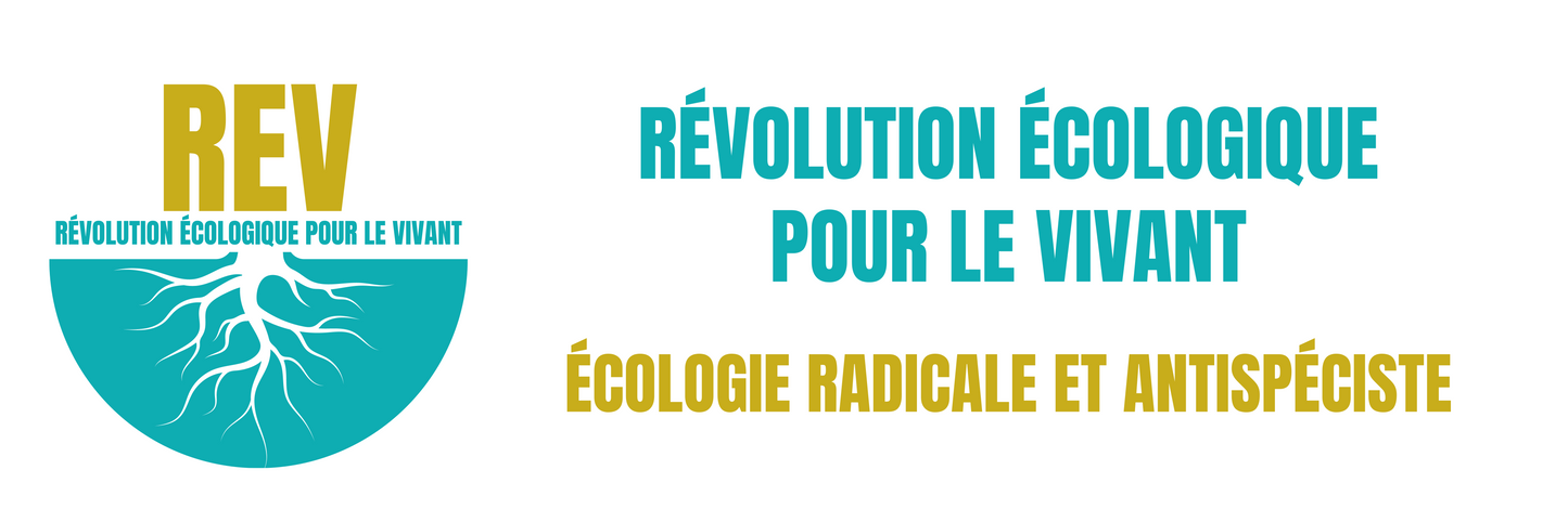 Visuel de la banderole REV blanche
