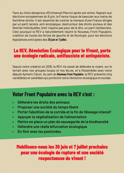 1000 Tracts REV - Nouveau Front Populaire