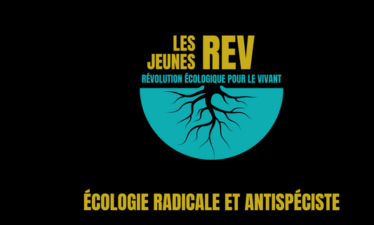 Visuel du drapeau noir Les Jeunes REV