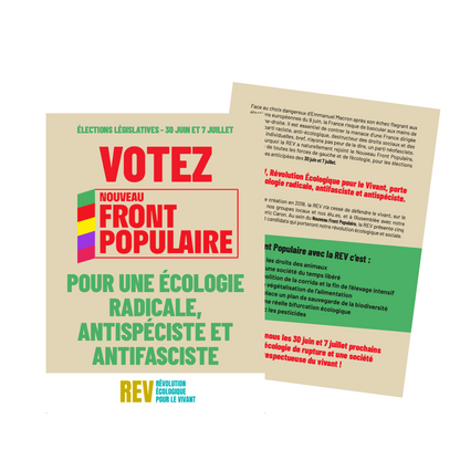 1000 Tracts REV - Nouveau Front Populaire